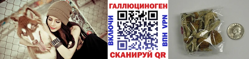 Галлюциногенные грибы Psilocybe  Нолинск 